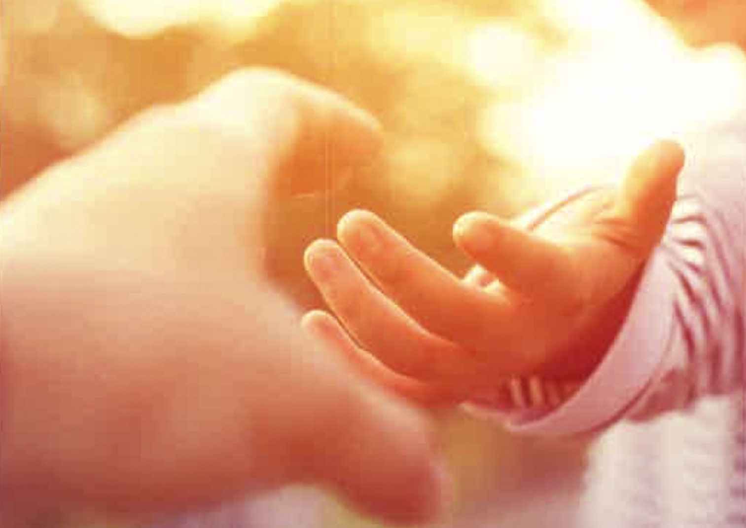 AHZ-hand-web Bauch einer Schwangeren
