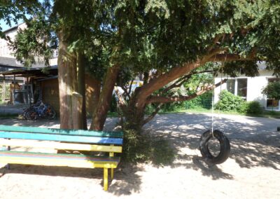 Reifenschaukel am Baum, daneben steht eine Bank